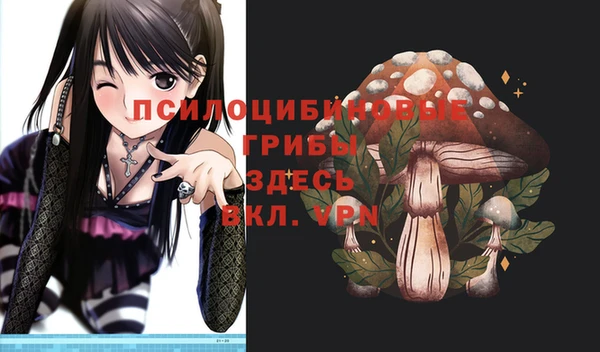 Альфа ПВП Горнозаводск